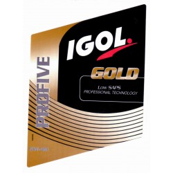Igol Process Gold "Profive Gold" 5W40 bidon de 2 litres