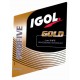 Igol Profive Gold 5W40 bidon de 4 litres