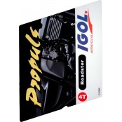 Igol Propuls Roadster 4T 10W40 bidon de 2 litres LUB4TRD10W40