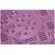 Tapis Auto CAOUTCHOUC 2 avts+2 arrieres Tuning metallise Rose Universel